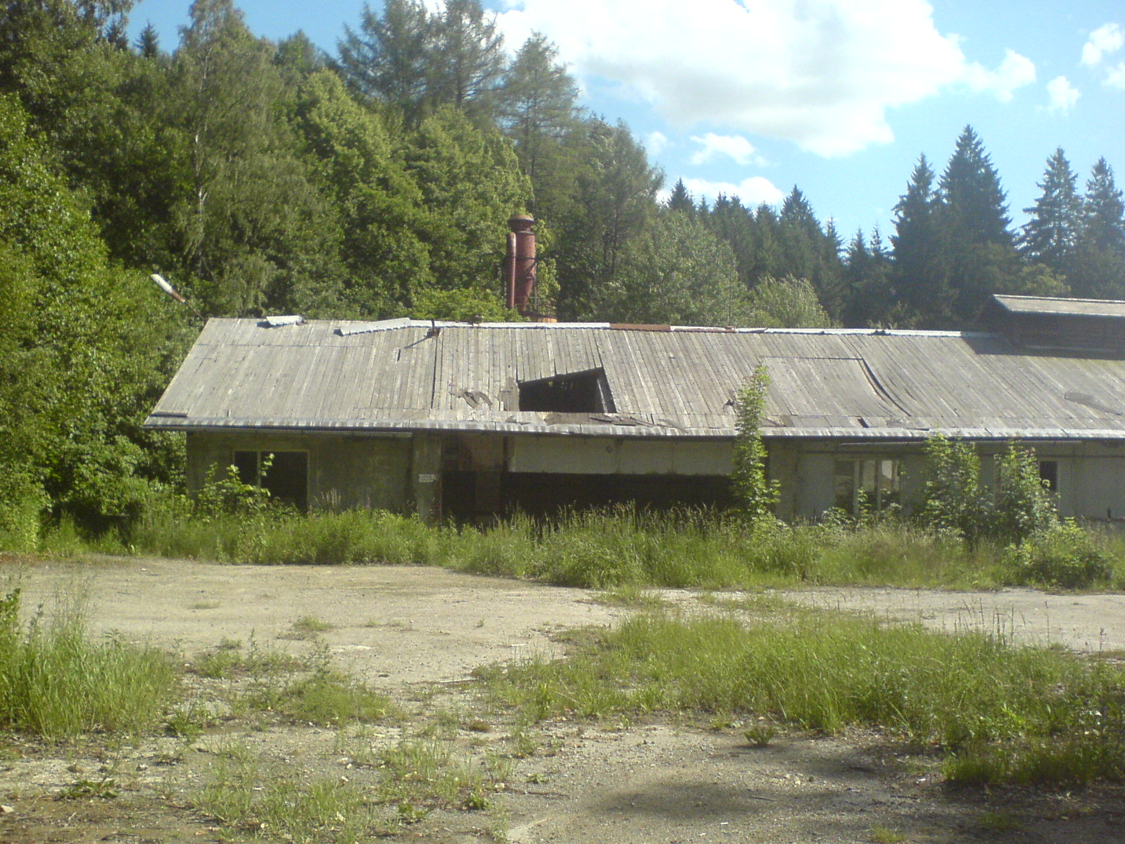 DSC00387.JPG